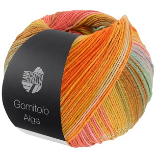 Lana Grossa VINTAGE SOCKS Multi