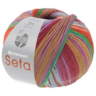 Lana Grossa MEILENWEIT 100g Seta Hokkaido